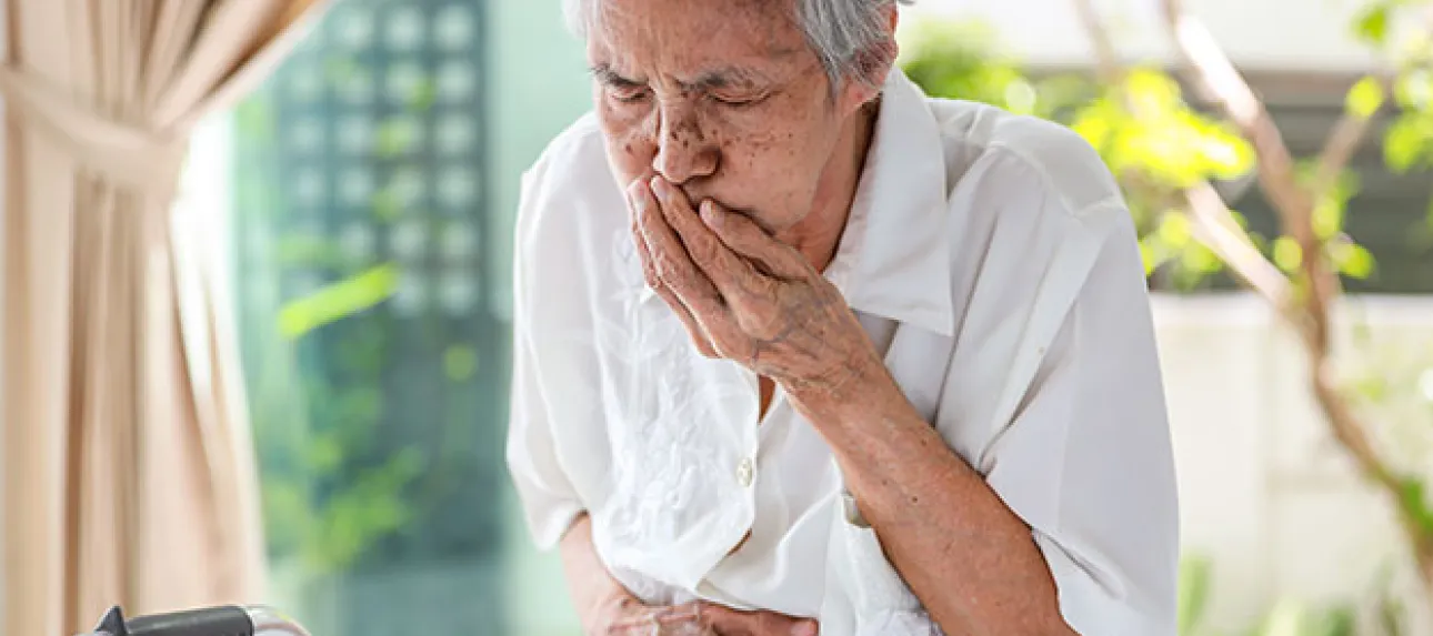 vomissement senior