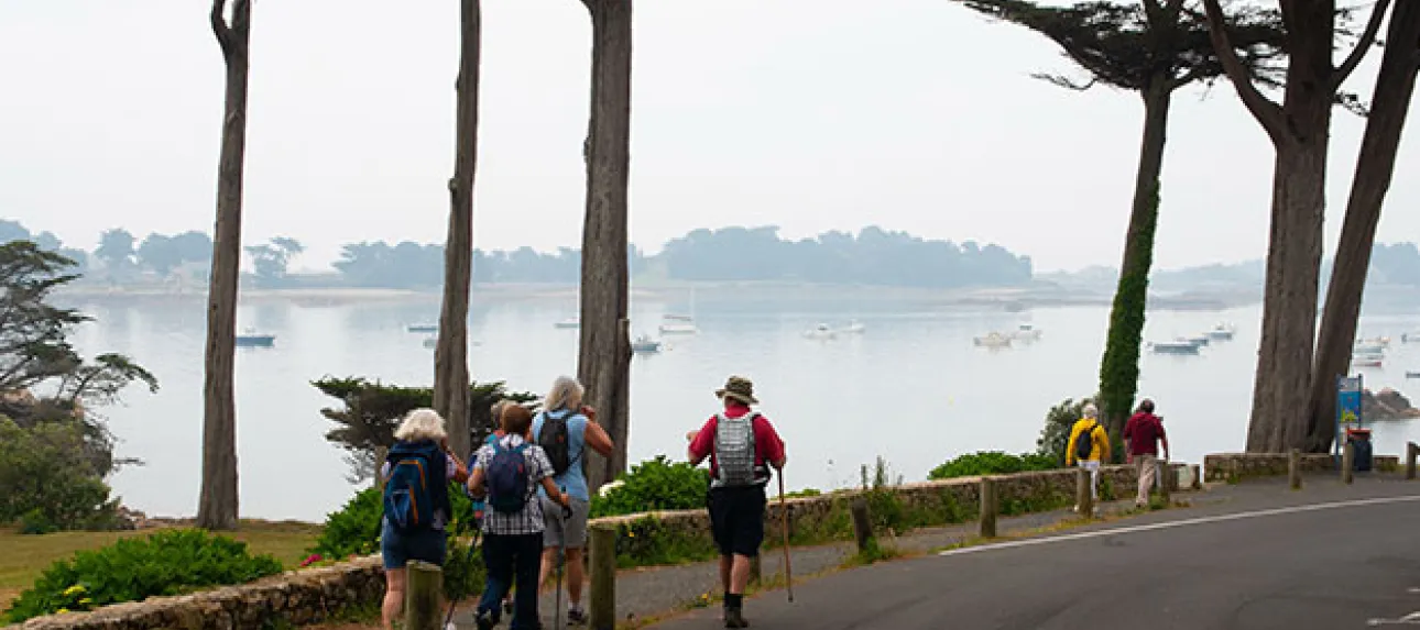 marche active senior