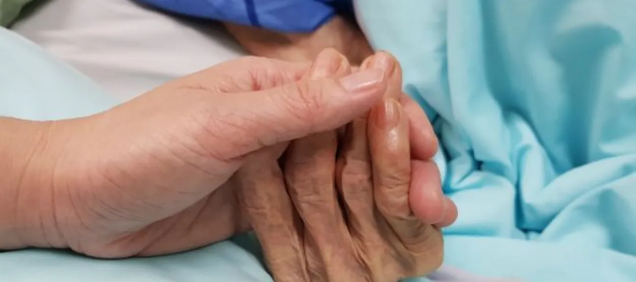 difference fin de vie et soins palliatifs vignette