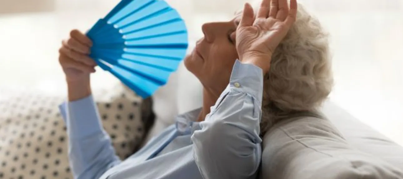plan canicule