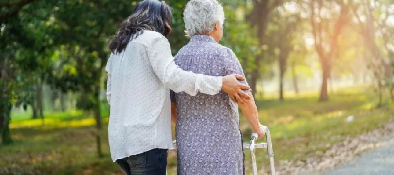 compagnons du voyage