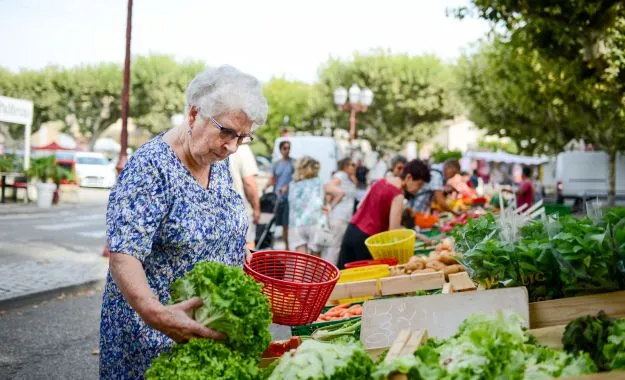 regions ou les seniors souffrent le plus de perte autonomie INSEE