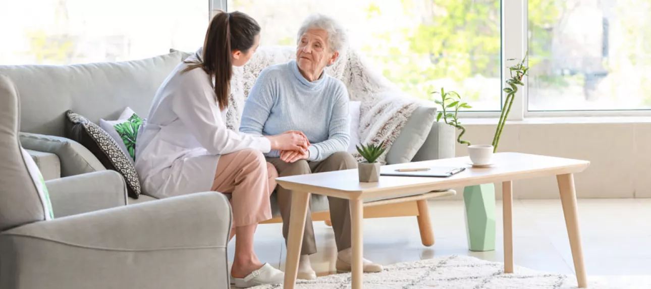 Seniors aide services
