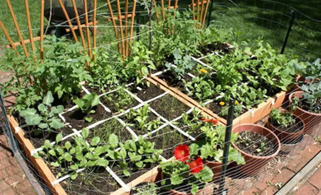 Que faire au jardin à l'automne ?