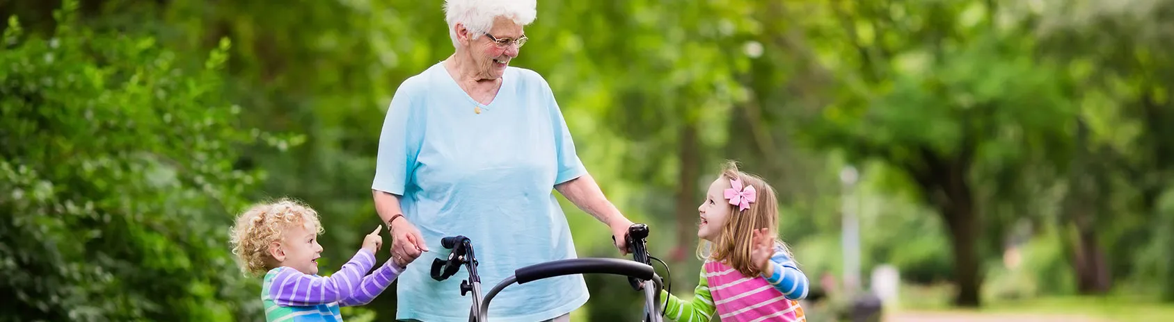 Gir de la grille Apa