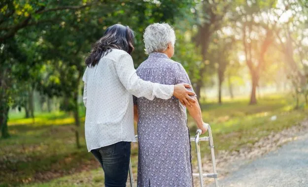 compagnons du voyage