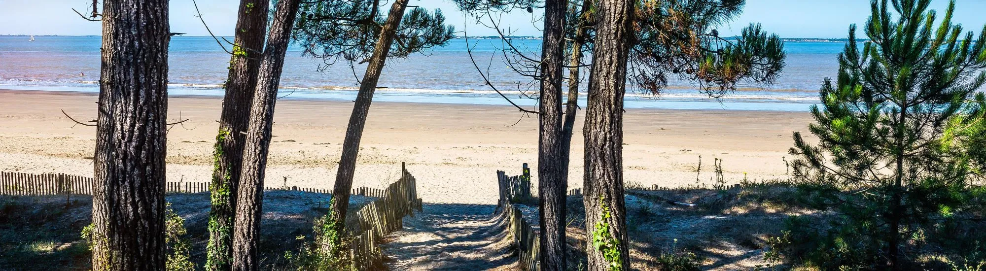 teleassistance departement charente maritime