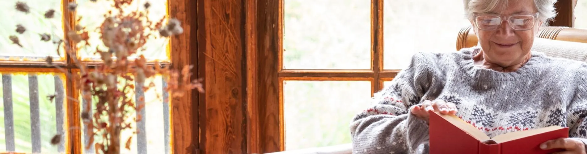 Téléassistance à domicile