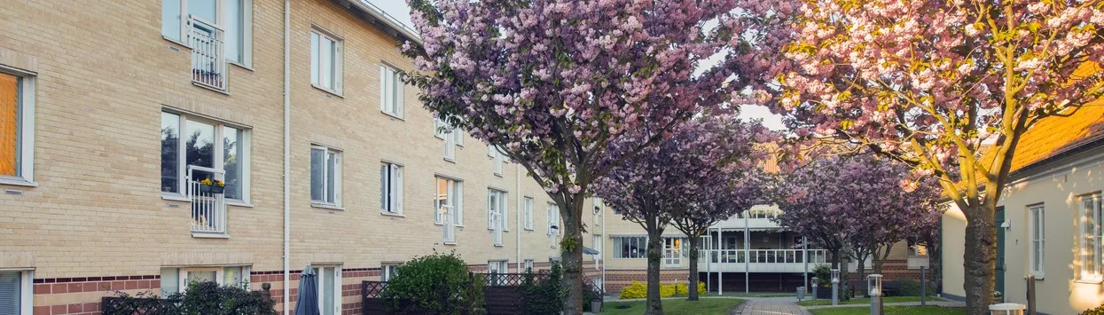témoignage maison de repos