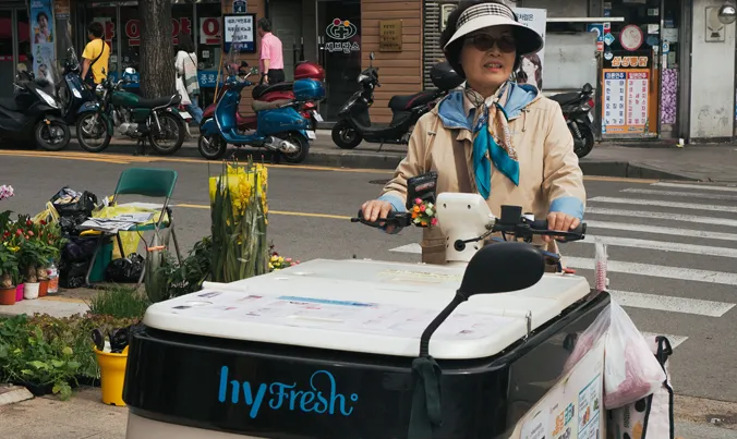 Yoghurt Lady