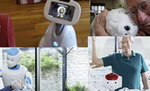 Robots pour le maintien à domicile
