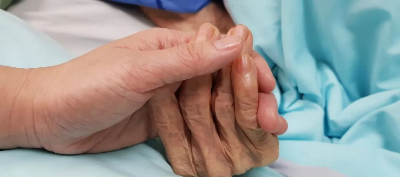 difference fin de vie et soins palliatifs