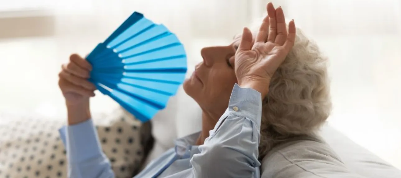 plan canicule