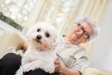 Un chien de compagnie pour améliorer le bien-être des seniors !