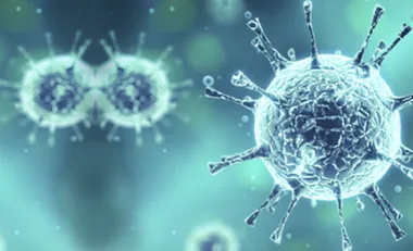 Virus d&#039;hiver : comment s&#039;en protéger